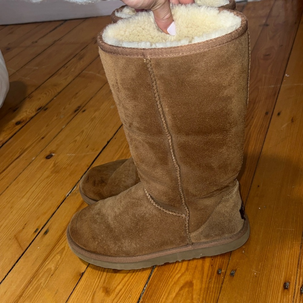 Chestnut uggs